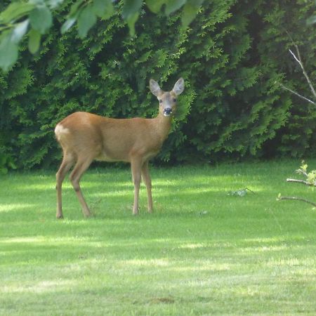 Vakantie Op De Veluwe Villa Лунтерен Екстериор снимка