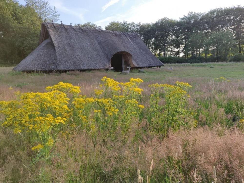 Vakantie Op De Veluwe Villa Лунтерен Екстериор снимка