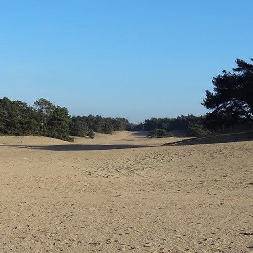 Vakantie Op De Veluwe Villa Лунтерен Екстериор снимка