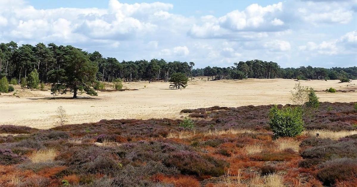 Vakantie Op De Veluwe Villa Лунтерен Екстериор снимка